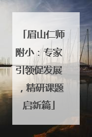 眉山仁师附小：专家引领促发展，精研课题启新篇