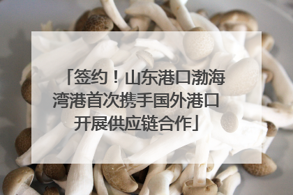 签约！山东港口渤海湾港首次携手国外港口开展供应链合作
