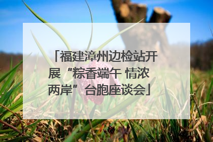 福建漳州边检站开展“粽香端午 情浓两岸”台胞座谈会