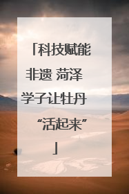 科技赋能非遗 菏泽学子让牡丹“活起来”
