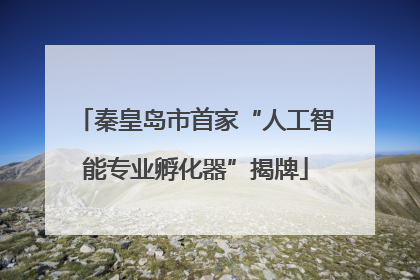 秦皇岛市首家“人工智能专业孵化器”揭牌