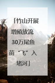 竹山开展增殖放流 30万尾鱼苗“飞”入堵河