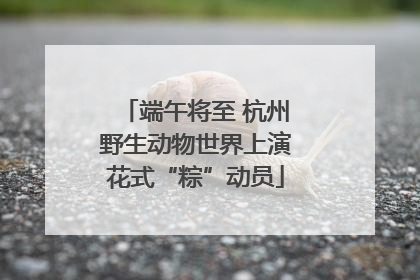端午将至 杭州野生动物世界上演花式“粽”动员