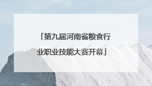第九届河南省粮食行业职业技能大赛开幕