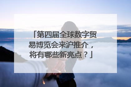 第四届全球数字贸易博览会来沪推介，将有哪些新亮点？
