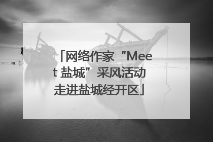网络作家“Meet 盐城”采风活动走进盐城经开区