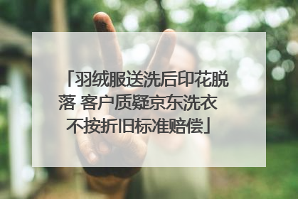 羽绒服送洗后印花脱落 客户质疑京东洗衣不按折旧标准赔偿