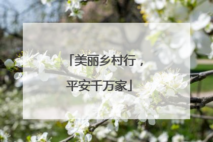 美丽乡村行，平安千万家