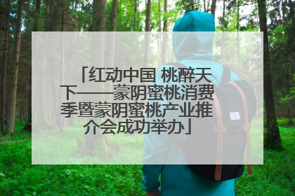 红动中国 桃醉天下——蒙阴蜜桃消费季暨蒙阴蜜桃产业推介会成功举办