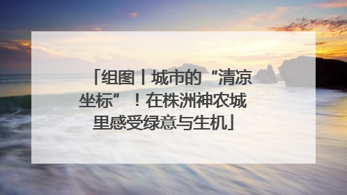 组图丨城市的“清凉坐标”！在株洲神农城里感受绿意与生机