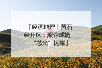 经济地理丨黄石经开区：聚企成链“芯光”闪耀