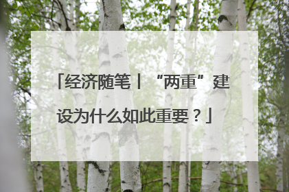 经济随笔丨“两重”建设为什么如此重要？