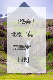 绝美！北京“莫奈睡莲”上线