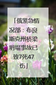 俄紧急情况部：布良斯克州桥梁坍塌事故已致7死47伤
