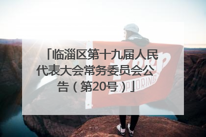 临淄区第十九届人民代表大会常务委员会公告（第20号）