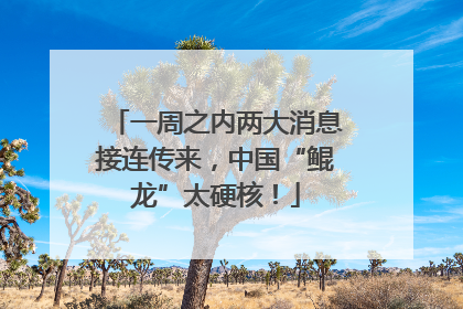 一周之内两大消息接连传来，中国“鲲龙”太硬核！