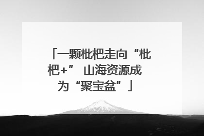 一颗枇杷走向“枇杷+” 山海资源成为“聚宝盆”