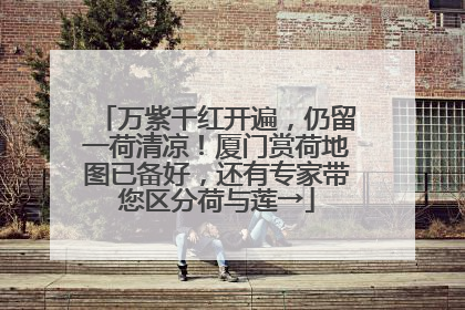 万紫千红开遍，仍留一荷清凉！厦门赏荷地图已备好，还有专家带您区分荷与莲→