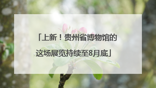 上新！贵州省博物馆的这场展览持续至8月底