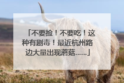 不要捡！不要吃！这种有剧毒！最近杭州路边大量出现蘑菇……