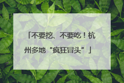 不要挖、不要吃！杭州多地“疯狂冒头”
