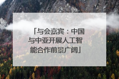 与会嘉宾：中国与中亚开展人工智能合作前景广阔