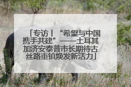 专访丨“希望与中国携手共建”——土耳其加济安泰普市长期待古丝路重镇焕发新活力