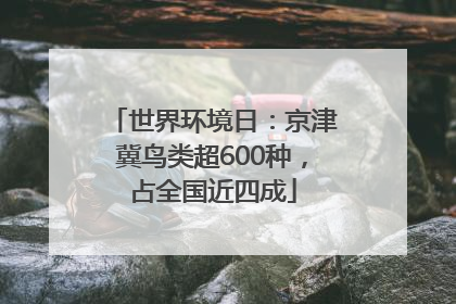 世界环境日：京津冀鸟类超600种，占全国近四成