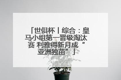 世俱杯丨综合：皇马小组第一晋级淘汰赛 利雅得新月成“亚洲独苗”