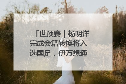 世预赛｜杨明洋完成会籍转换将入选国足，伊万想通了要打双后腰？