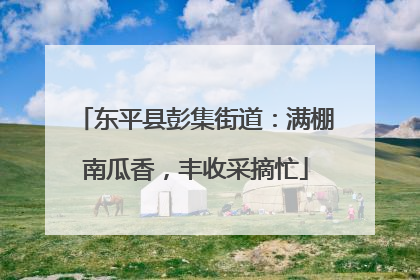 东平县彭集街道：满棚南瓜香，丰收采摘忙