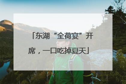 东湖“全荷宴”开席，一口吃掉夏天