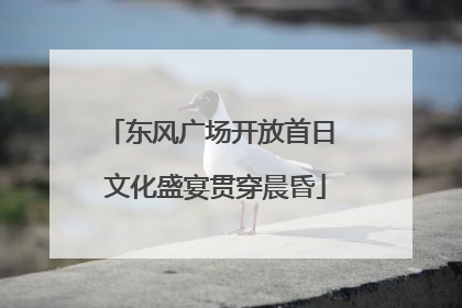 东风广场开放首日 文化盛宴贯穿晨昏