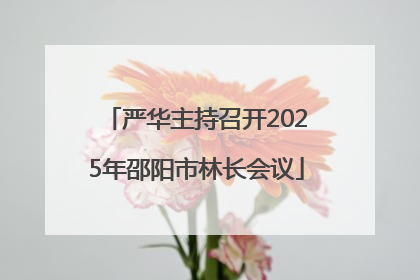 严华主持召开2025年邵阳市林长会议