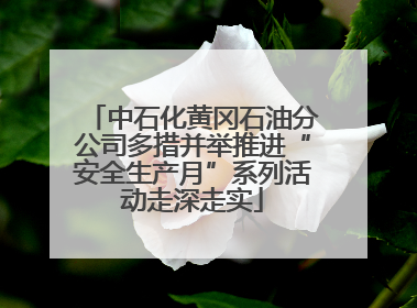 中石化黄冈石油分公司多措并举推进“安全生产月”系列活动走深走实