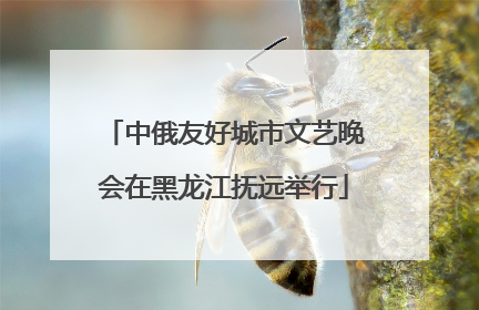 中俄友好城市文艺晚会在黑龙江抚远举行