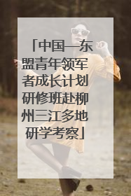 中国—东盟青年领军者成长计划研修班赴柳州三江多地研学考察