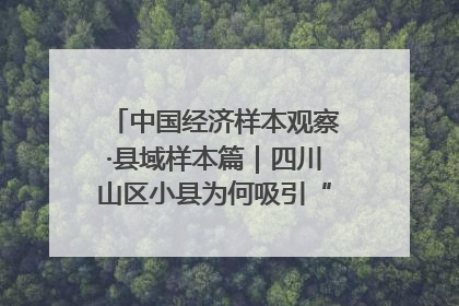 中国经济样本观察·县域样本篇｜四川山区小县为何吸引“村播”扎堆？