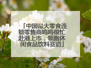 中国最大零食连锁零售商鸣鸣很忙赴港上市，领跑休闲食品饮料赛道