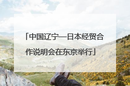 中国辽宁—日本经贸合作说明会在东京举行