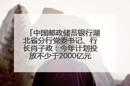中国邮政储蓄银行湖北省分行党委书记、行长肖子政：今年计划投放不少于2000亿元支持支点建设