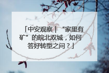 中安观察｜“家里有矿”的皖北双城，如何答好转型之问？