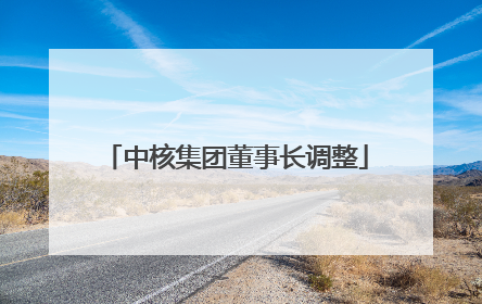 中核集团董事长调整