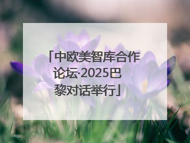 中欧美智库合作论坛·2025巴黎对话举行