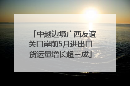 中越边境广西友谊关口岸前5月进出口货运量增长超三成
