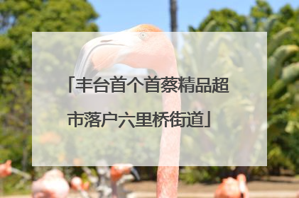 丰台首个首蔡精品超市落户六里桥街道