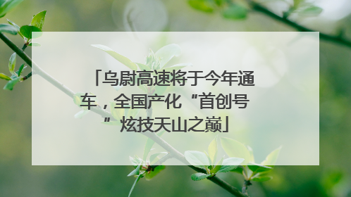乌尉高速将于今年通车，全国产化“首创号”炫技天山之巅