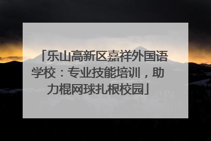 乐山高新区嘉祥外国语学校：专业技能培训，助力棍网球扎根校园
