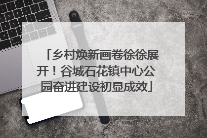 乡村焕新画卷徐徐展开！谷城石花镇中心公园奋进建设初显成效