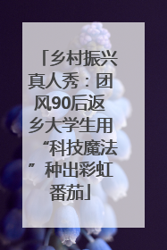 乡村振兴真人秀：团风90后返乡大学生用“科技魔法”种出彩虹番茄